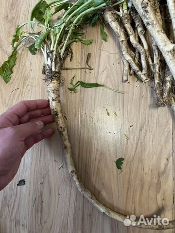 Хрен на посадку