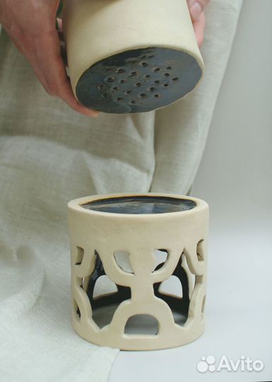 Хатиора в керамическом горшке с поддоном