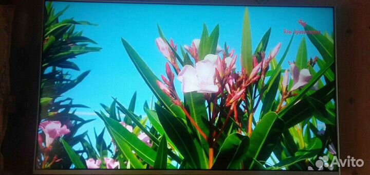 Телевизор Sony KDL-55W808A