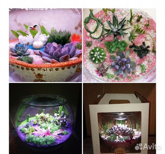 Флорариум Эксклюзив с футбольный мяч