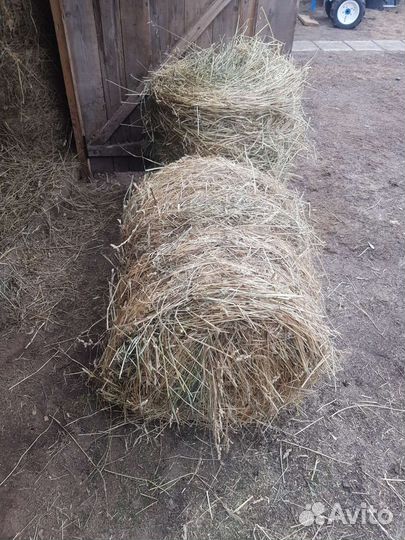 Сено в рулонах сено в мешках в тюках сено рулоны