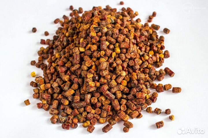 Перга пчелиная