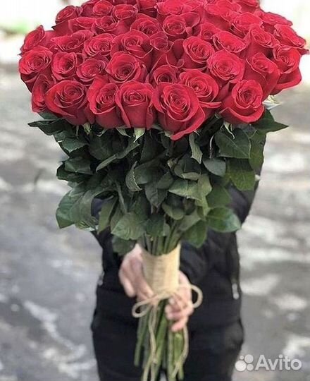 Высокие розы Гигантские розы Доставка цветов