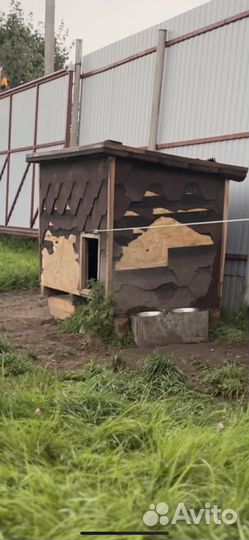 Будка для собаки утепленная