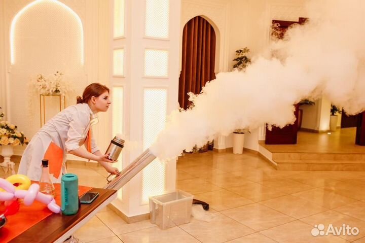 Аниматоры выездные квесты ведущие день рождения