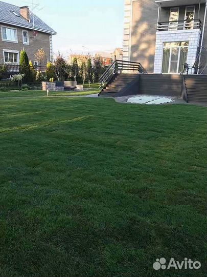 Укладка рулонного газона