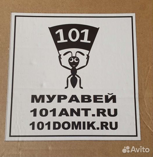 Формикарий (муравьиная ферма)