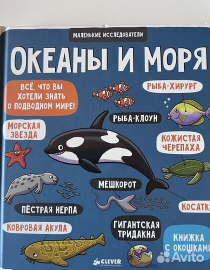 Книги для детей 4-7 лет с окошками