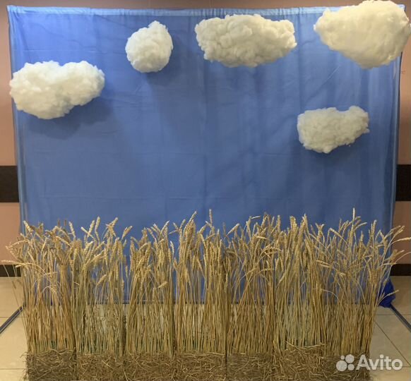 Колосья пшеницы