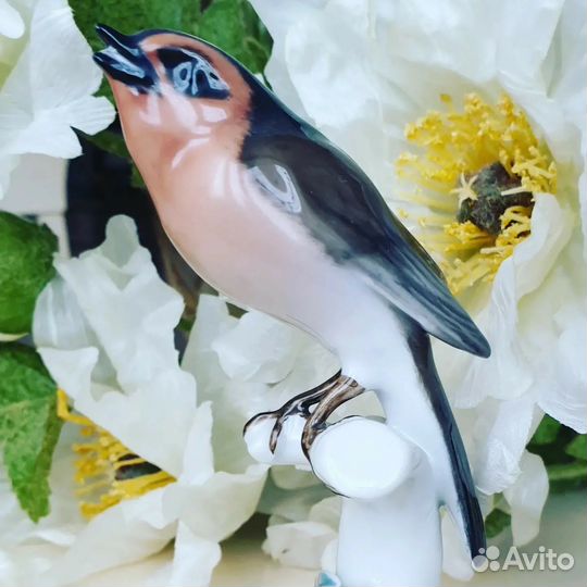 Фарфоровая птичка Rosenthal