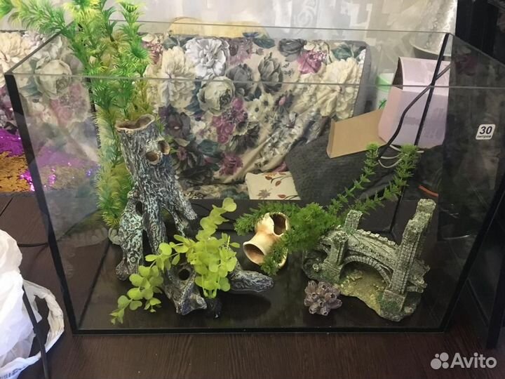 Аквариум со всем содержимым