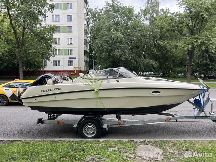 Веливет