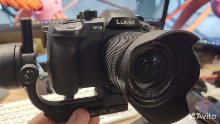 Камера Panasonic gh5 body