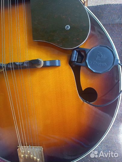 Мандолина Fender FM-53S