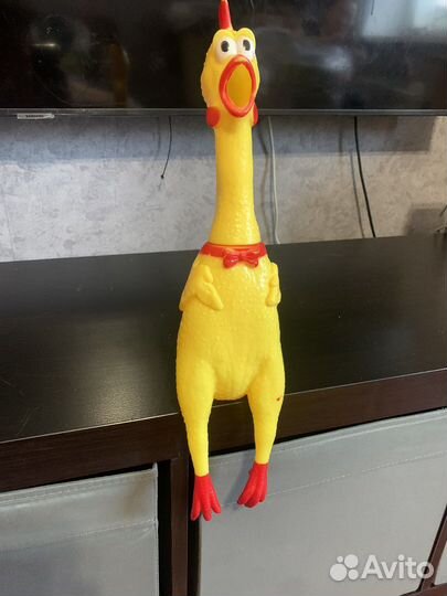 Кричащая курица