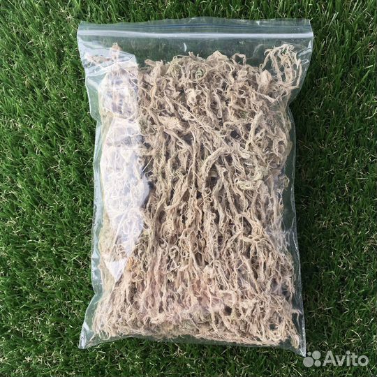 Мох сфагнум отборный