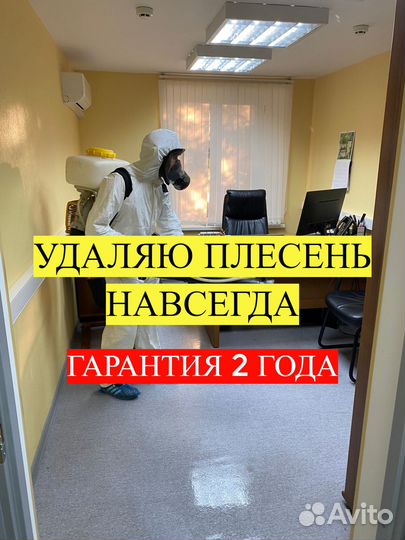 Уничтожение плесени дезинфекция