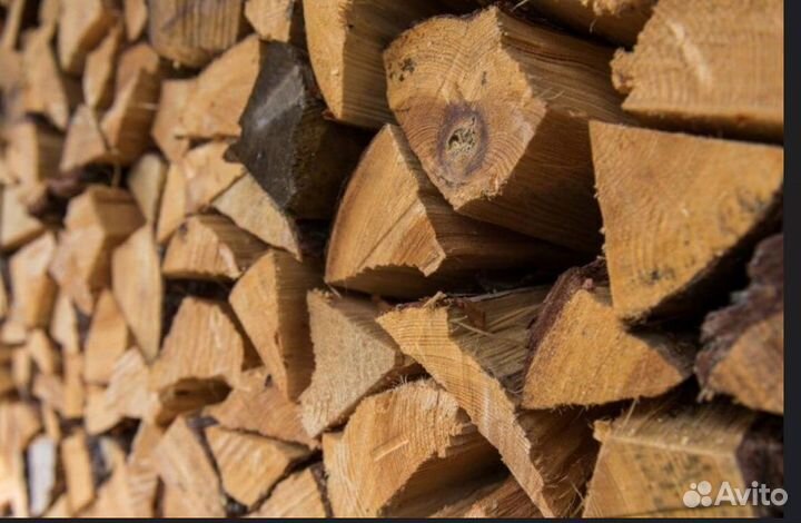 Дрова осина