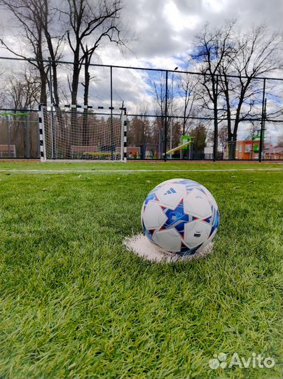 Футбольный мяч Adidas Champions League (новый (5)