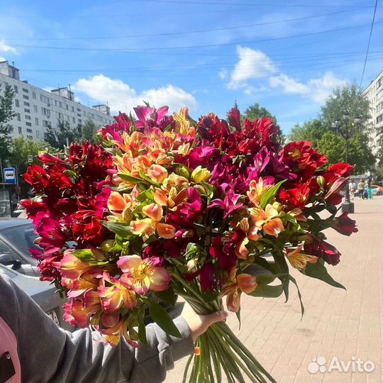 Букет альстромерий/ доставка цветов Пушкино Москва