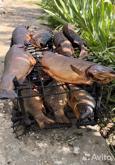 Рыба горячего копчения