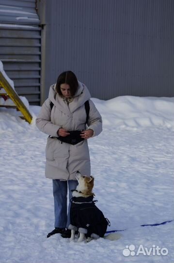 Кинолог/Дрессировка собак/Екатеринбург