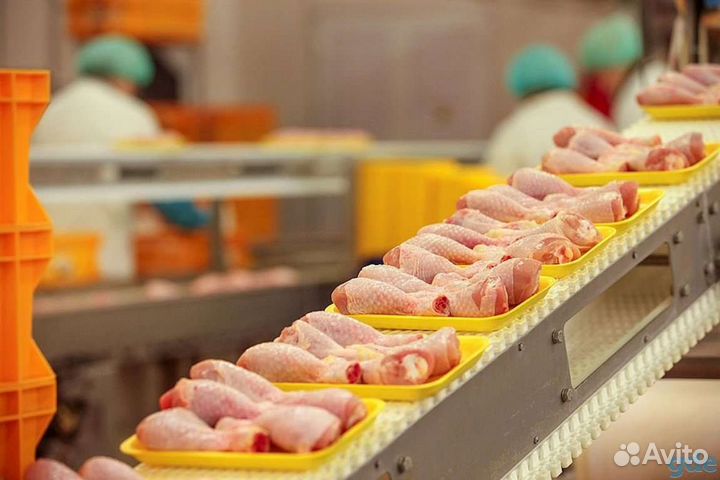 Упаковщики с проживанием-Вахта-Авансы