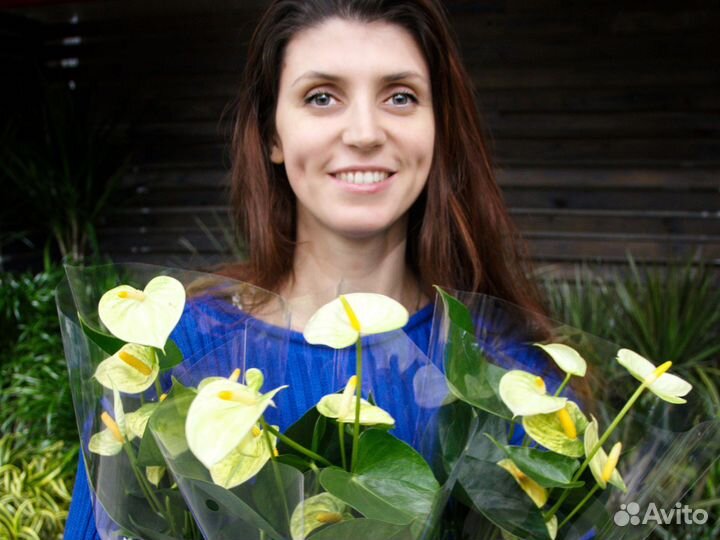 Растения для офиса / озеленение под ключ