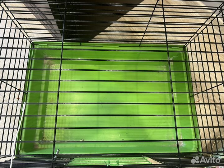 Клетка для морской свинки