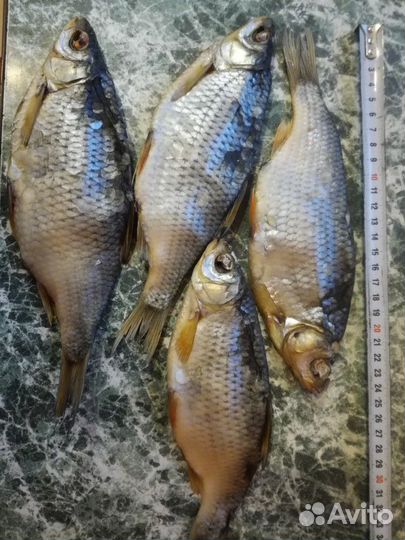 Рыба вяленая местная