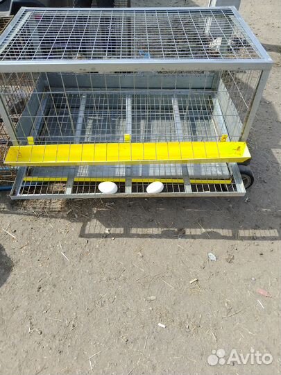 Для кур несушек и бройлера клетка