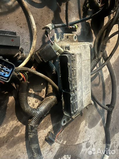 Микас эбу газ крайслер 31105