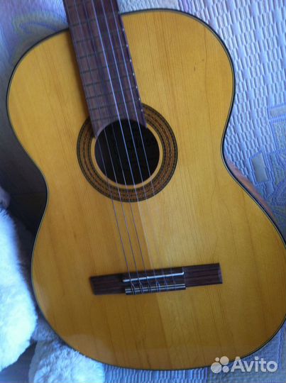 Музима Классик