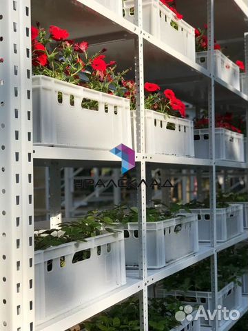 Стеллаж металлический (архивный)