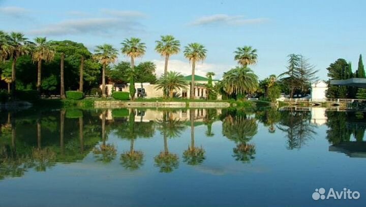 Тур в Абхазию. Новый Афон