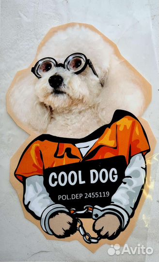 Принт на одежду