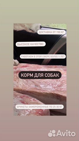 Мясо для собак говядина оптом
