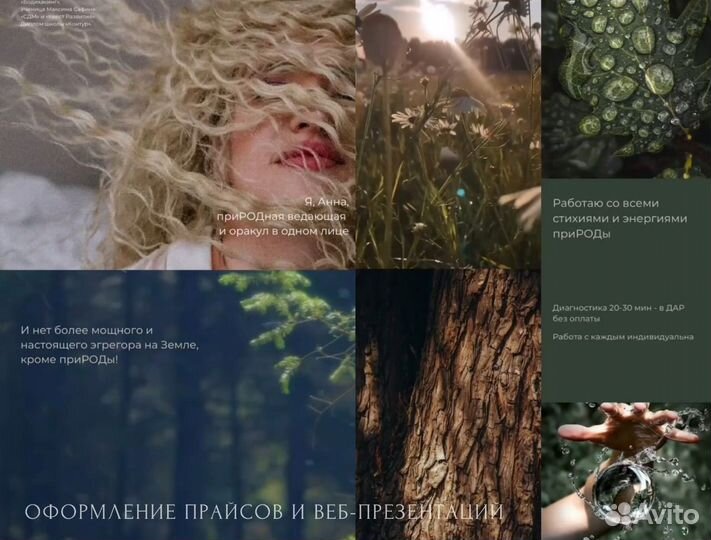 Графический дизайнер логотип инфографика