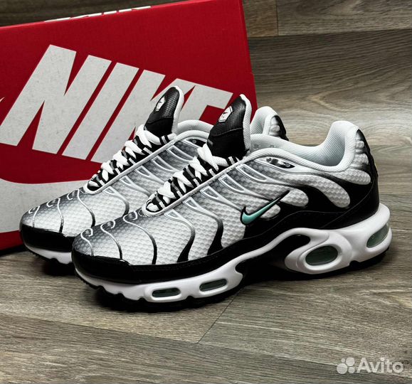 Кроссовки Nike Air Max TN Plus Silver