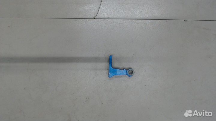 Петля двери Skoda Fabia, 2019