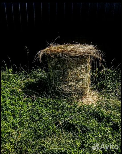 Сено в минирулонах