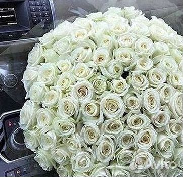 Высокие Розы Гиганты Доставка Круглосуточно