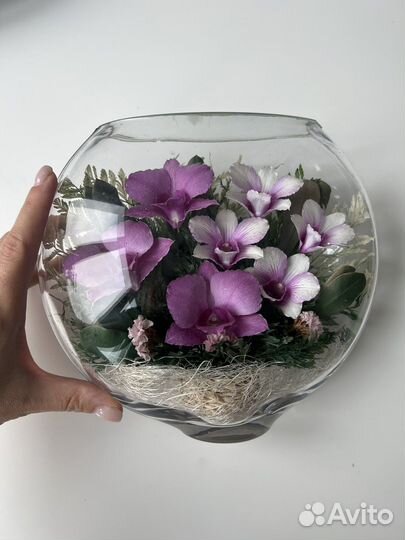 Флорариум цветы стабилизированные подарок