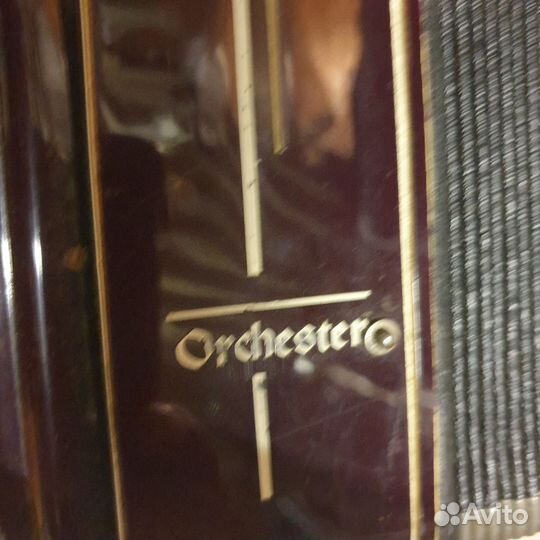 Аккордеон редкий