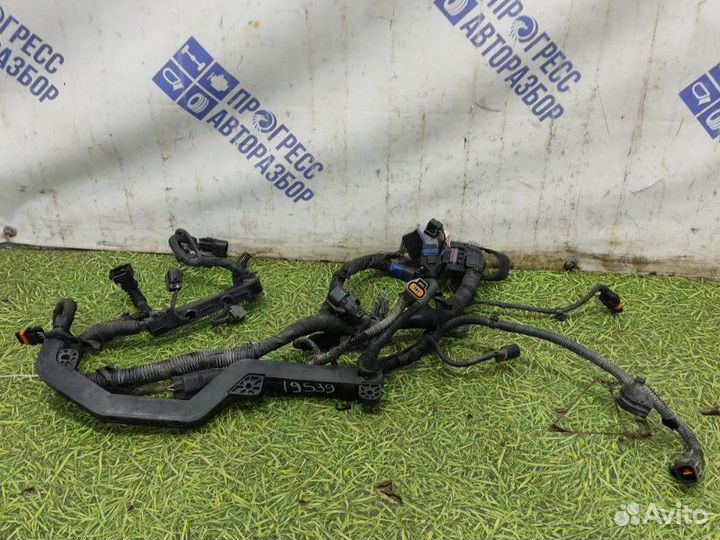 Проводка двигателя Kia Rio 2 хэтчбек 1.4 G4EE 2008