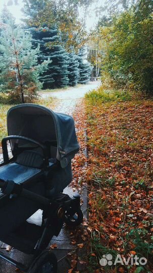 Коляска Bugaboo buffalo Diesel