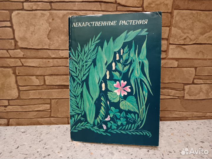 Лекарственные растения набор открыток, 1980