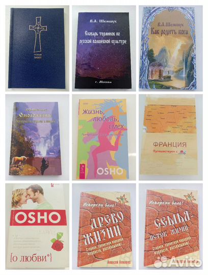 Алнашев, Ошо, Шемшук, Гнатюк, Мамаев и др