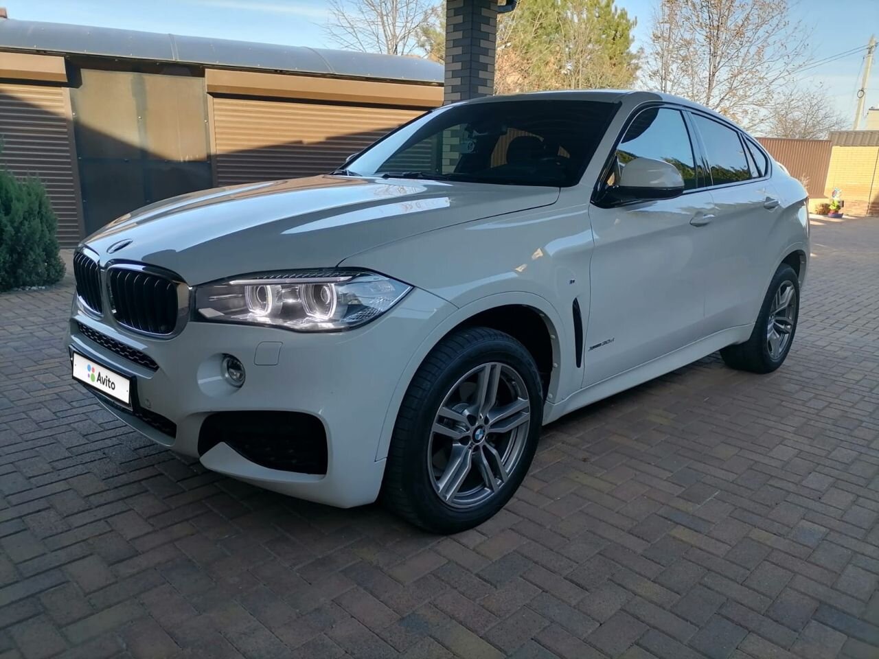 BMW X6: фото владельца
