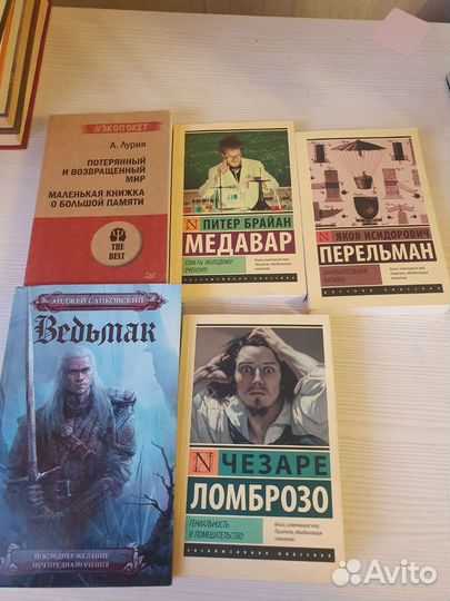 Книги/ Ведьмак/ Егэ/ Гнев ангелов